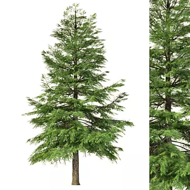 Geometry Pine Tree Sculpture 3D model image 1 