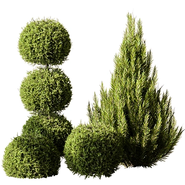 Russian Pine Bush Set 116 3D model image 1 