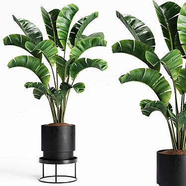 15 Indoor Plants Collection 3D model image 1 