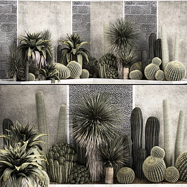 Exotic Desert Plant Collection 3D model image 1 