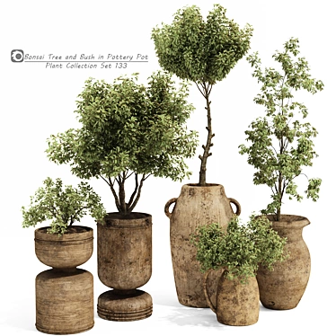 Handcrafted Bonsai Bush Pottery 133 3D model image 1 