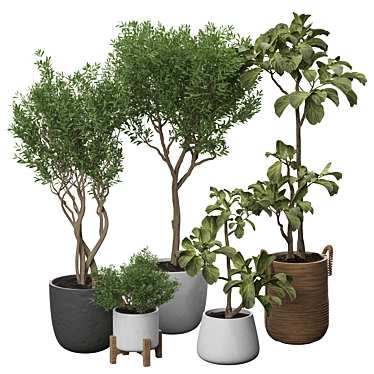 Green Oasis 3D Model Display 3D model image 1 