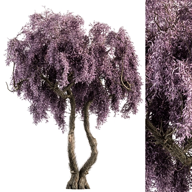 Vibrant Purple Wisteria Tree Set 3D model image 1 