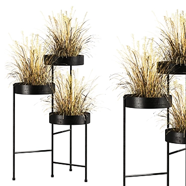 Botanical Collection 3D Models Bundle 3D model image 1 