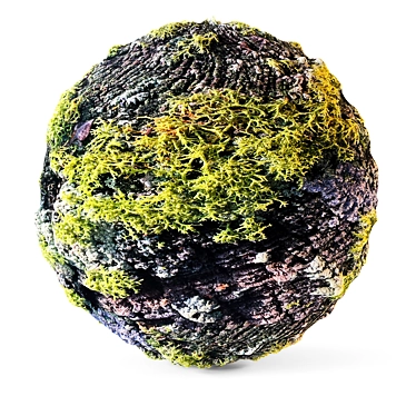 Moss Material Texture Pack 3D model image 1 