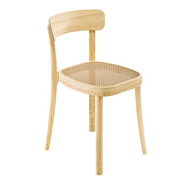 Modern Rattan and Wood Chair 3D model image 1 