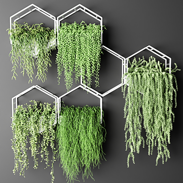 Hexagon Hanging Succulent Plants 3D model image 1 