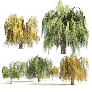 Animated Weeping Willow Tree Set 3D model image 1 