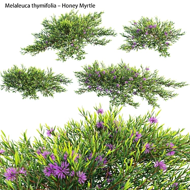 Versatile 3D Plant Model Collection 3D model image 1 