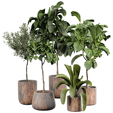 Blooming Indoor Plant Decor 3D model image 1 