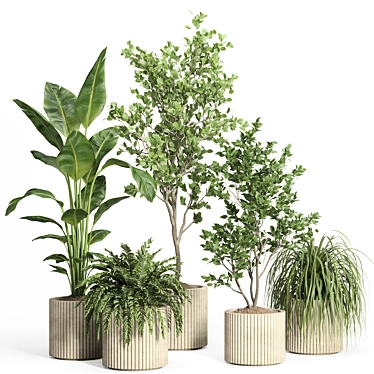 54-Piece Concrete Pot Indoor Plant Set 3D model image 1 