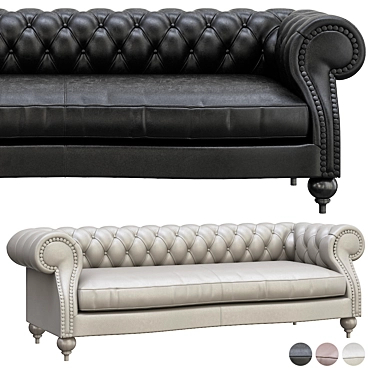 Elegant Baxter Diana Chester Sofa 3D model image 1 