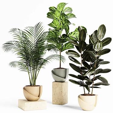 Indoor Plants set 18