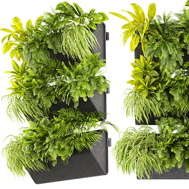 Ampelous Fern Hanging Banana Plant 3D model image 1 