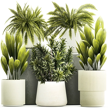 Tropical Plant Set in White Pots 3D model image 1 