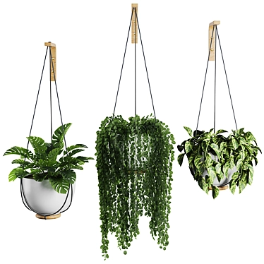 Modern Hanging Plant SetV3 3D model image 1 