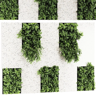 60 Plant Set 3D Model 3D model image 1 