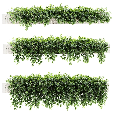1315000 Botanical 3D Models Set 3D model image 1 