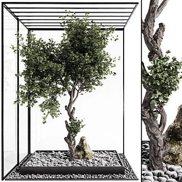 Indoor Bonsai Tree and Rocks 3D model image 1 