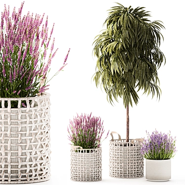 Modern White Basket Plant Collection 3D model image 1 