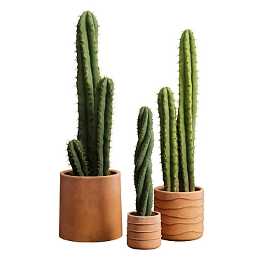 Desert Cactus Collection 3D model image 1 