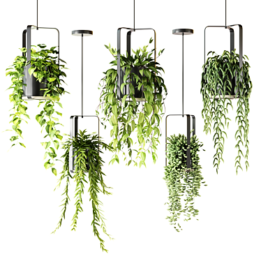 Black Hanging Basket with Trailing Plants 3D model image 1 