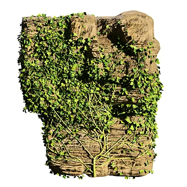 Vibrant Ivy-Covered Rock 3D Model 3D model image 1 