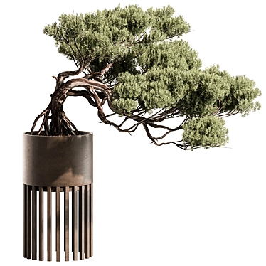 Mini Bonsai Potted Plant 3D model image 1 