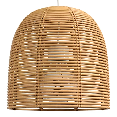 Vivi Small Rattan Pendant Lamp 3D model image 1 