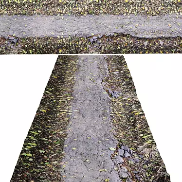 Seamless Asphalt Forest Path 3D model image 1 