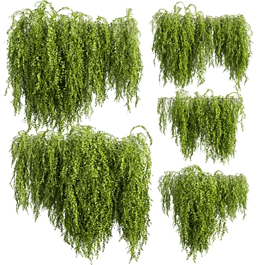 High-Quality Outdoor Ivy Bush 3D model image 1 