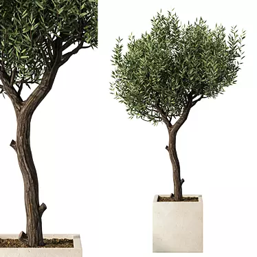 Majestic Outdoor Plant Sculpture 3D model image 1 