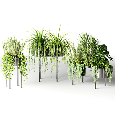 Stylish Chrome Plant Pots - Vray 3D model image 1 