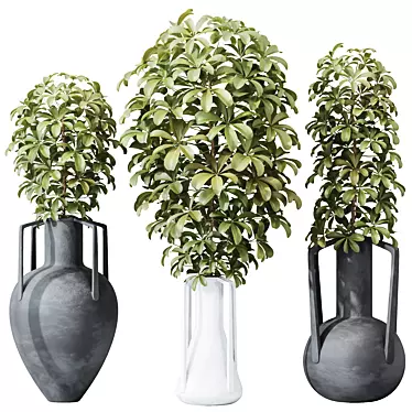 Dwarf Schefflera Umbrella Tree Set 3D model image 1 