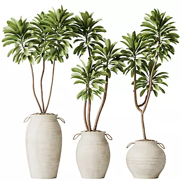 Exotic 3D Houseplants Set03 3D model image 1 