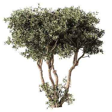 No.65 3D Tree Model Kit 3D model image 1 