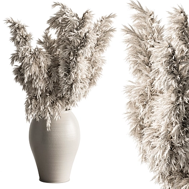 Pampas Grass Dried Home Decor 3D model image 1 