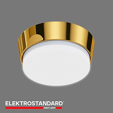 Elektrostandard 1037 GX53 Spotlight Lante 3D model image 1 