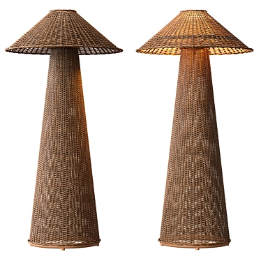 Natural Rattan Iron Floor Lamp 3D model image 1 