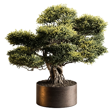 Bonsai Beauty: Indoor Plant 645 3D model image 1 