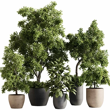 Outdoor Plant Set with Textures 3D model image 1 