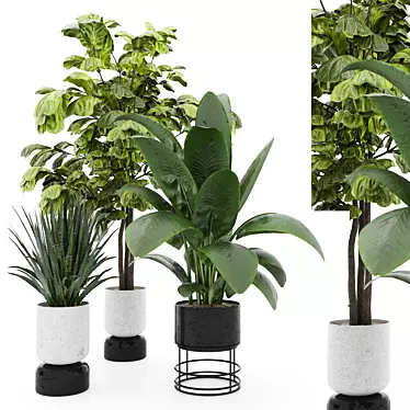 Modern Indoor Plant Set 3 3D model image 1 