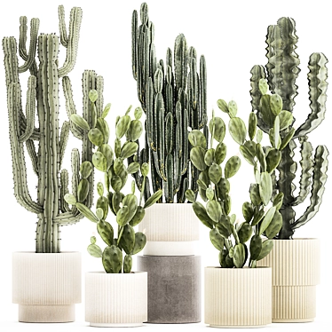 Desert Cactus Collection 1468 3D model image 1 