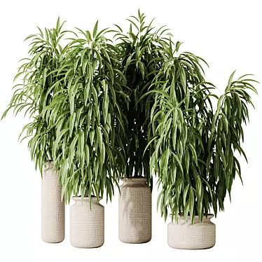 Braided Ficus Alii Houseplant Set 3D model image 1 