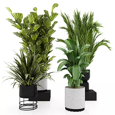 Indoor Plants Set 4