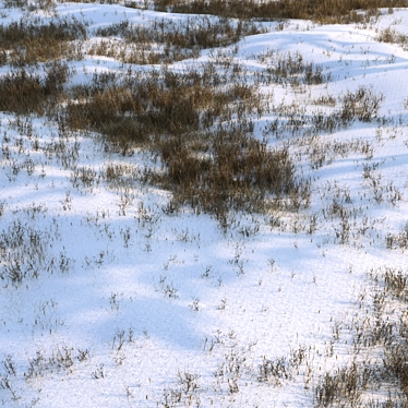 Snow-Covered Grass Ground Asset 3D model image 1 