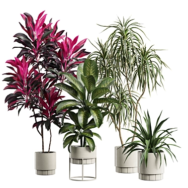 Indoor Plants Pack 62: 3D Models 3D model image 1 