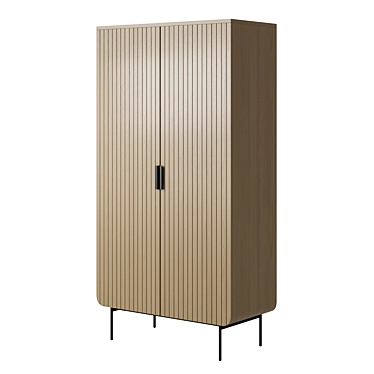 Retro-Chic 2-Door Wardrobe 3D model image 1 