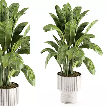  Modern Indoor Plant Set 7 3D model image 1 