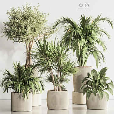 Indoor Plant Set 132